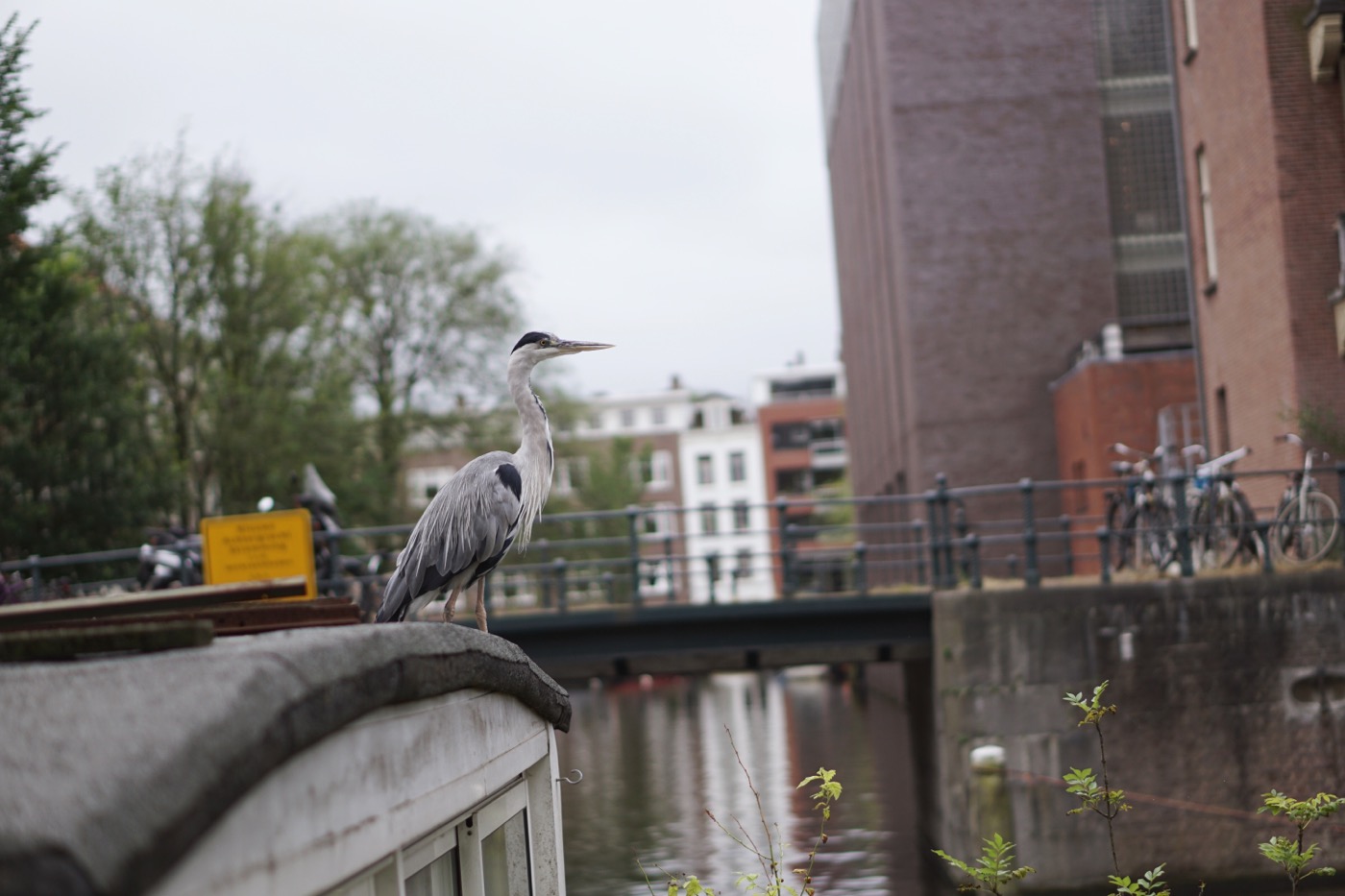 Amsterdam