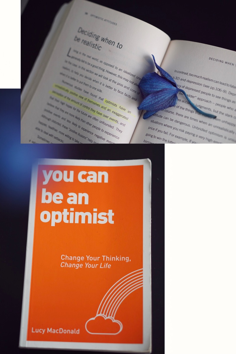 You can be an optimist by Lucy MacDonald